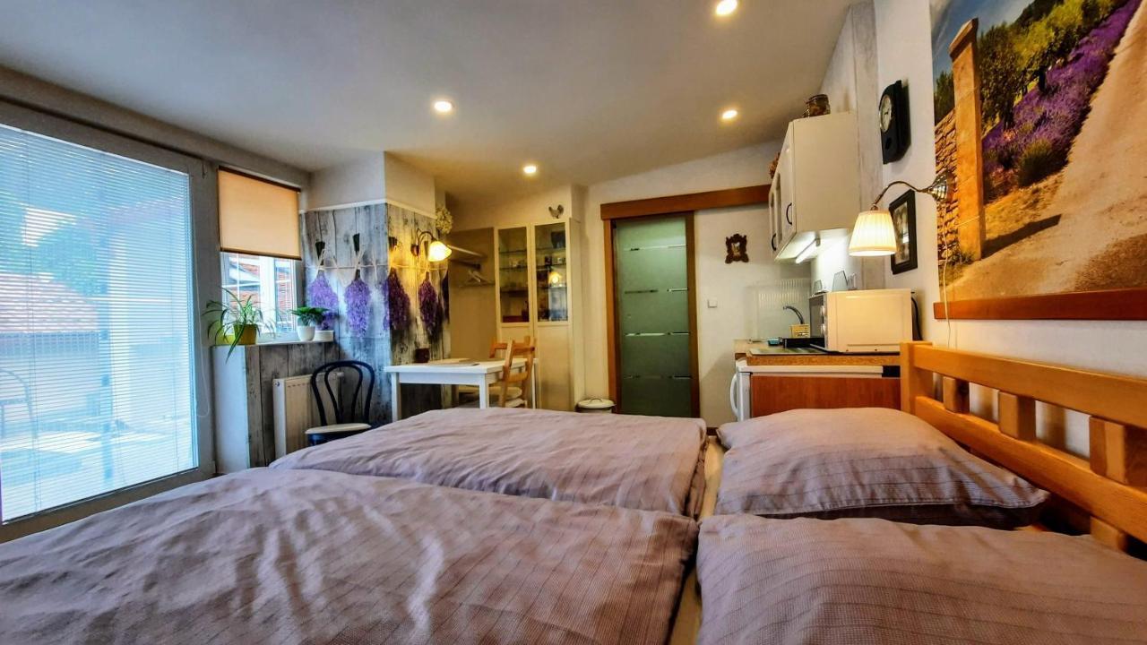 Apartma Za Kopcem Босковице Экстерьер фото