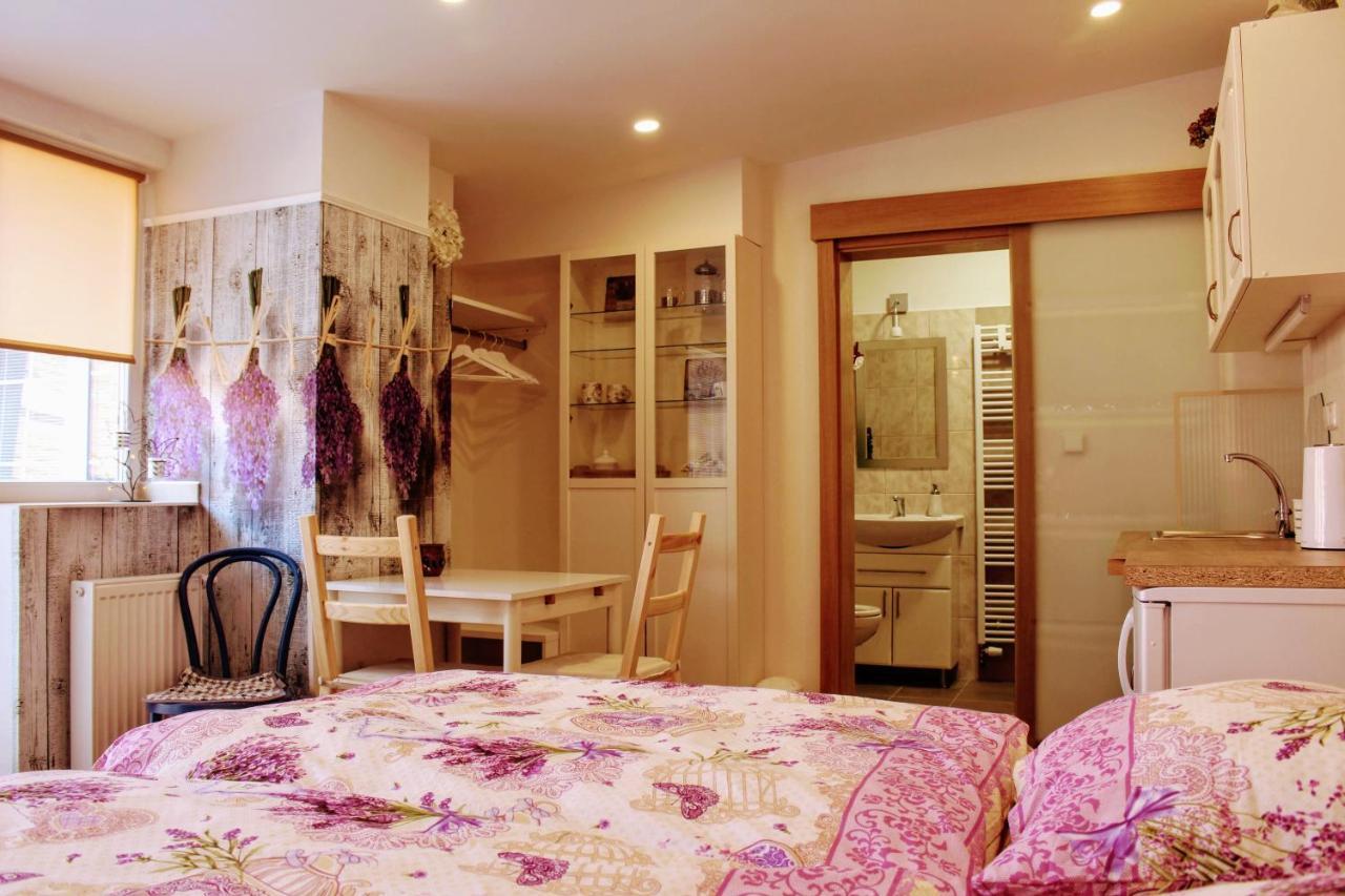 Apartma Za Kopcem Босковице Экстерьер фото